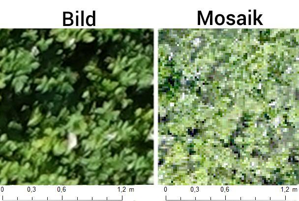 Bedömning av sensor- och bildteknik För att bedöma möjligheten till detaljerad bildanalys och identifiering av enskilda fläckar gjordes en visuell granskning av mosaiker och enskilda bilder.