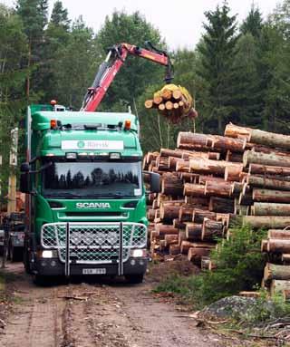 tillförs Rörvik Timber cirka 275 MSEK före emissionskostnader, varav cirka 135 MSEK kommer att användas för återbetalning av kortfristig upplåning från huvudägaren.