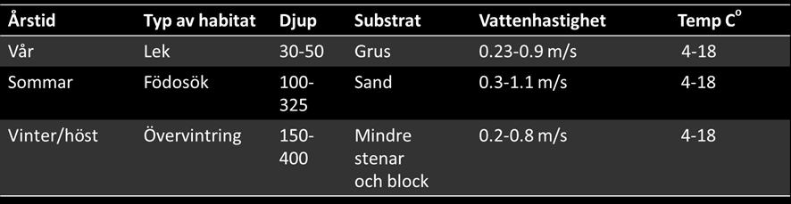 restaureringsprojekt (HEC- RAS