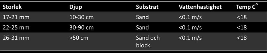 med Statkraft.