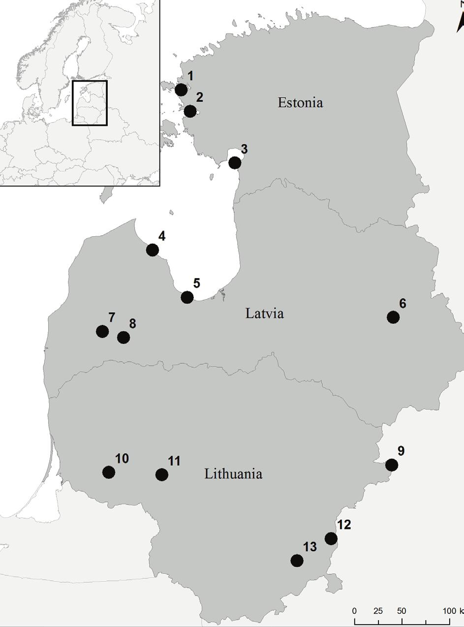 moult migration to Russia. Injured birds and birds in poor physical condition, unable to carry through a long-distance migration, are often forced to remain where they are.