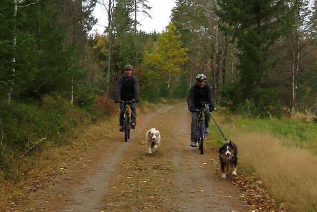 13 Hundar människor och Sälenveckan! Min man och jag är väldigt olika på många sätt. Också när det gäller «hunderiet». För Hassehusse är hund inte nödvändigt, men trevligt.