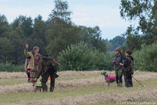 9 På söndagen var det nästan samma gäng som samlades på Trossnäs gård igen, förutom Picarden som hade bytts ut mot en Drent.