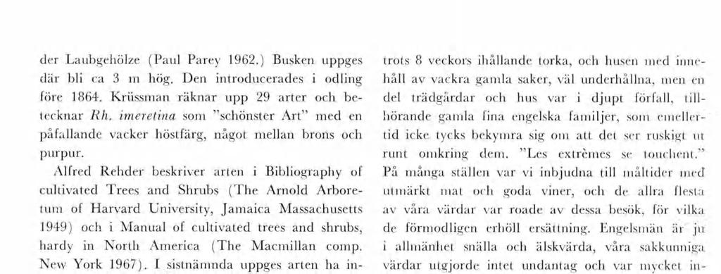 der Laubgehölze (Paul Parey 1962.) Busken uppges där bl ca 3 hög. Den ntroducerades odlng före 1864. Krssan räknar upp 29 arter och be tecknar Rh.