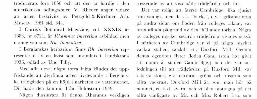 Alfred Rehder beskrver arten Bblography of cultvated Trees and Shrubs (The Arnold Arbore tu of Harvard Unversty, Jaaca Massachusetts 1949) och Manual of cultvated trees and shrubs, hardy n North