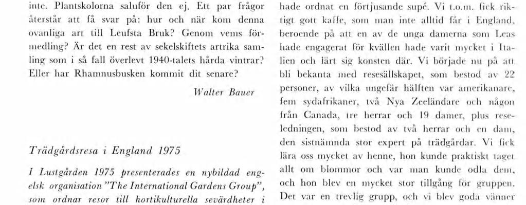 Rheder anger vdare att arten beskrvts av Petzgold & Krchner Arb. Muscav. 1964 sd. 344. I Curts's Botancal Magazne, vol. XXXIX år 1883, nr 6721, är Rhanus eretna avbldad en nangven so Rh. lbanotca.