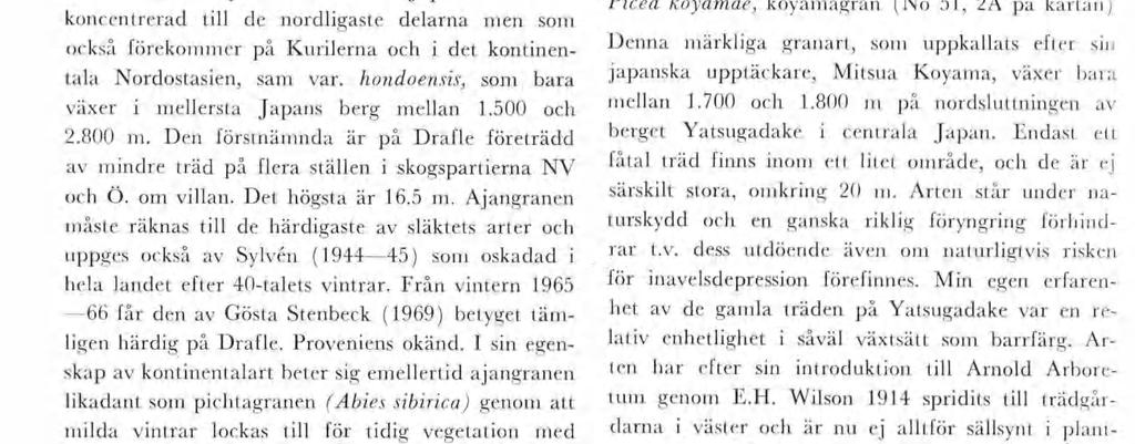 so P. pungens, P. engelann och P. orentals, vsar tabellen dock geno sn storlek vlka öj lgheter so rys Arboretu Drafle.