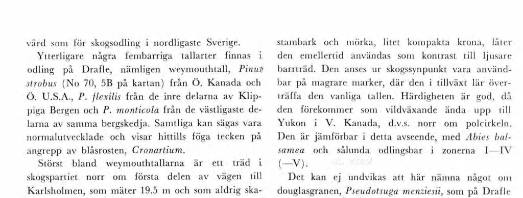 vård so för skogsodlng nordlgaste Sverge. Ytterlgare några febarrga tallarter fnnas odlng på Drafle, nälgen weyouthtall, PnuS/ strobus (No 70, 5B på kartan) från Ö. Kanada och Ö. U.S.A., P. flexls från de nre delarna av Klp pga Bergen och P.