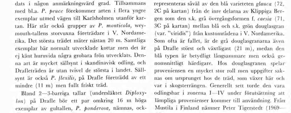 Störst bland weyouthtallarna är ett träd skogspartet norr o första delen av vägen tll Karlsholen, so äter 19.5 och so aldrg ska dats någon anärknngsvärd grad. Tllsaans ed bl.a. P.