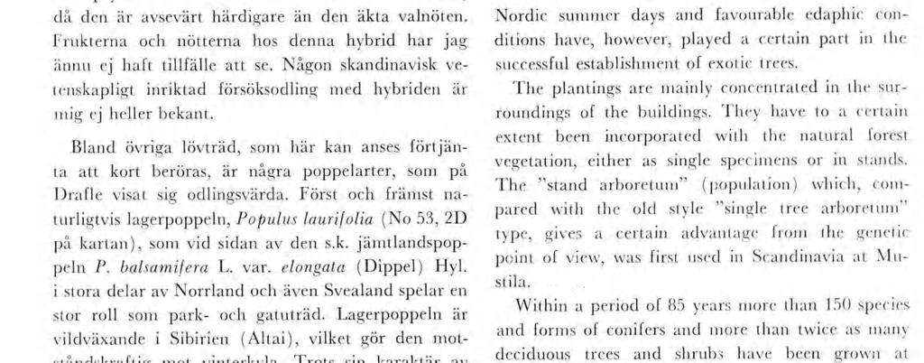 Ovannända ko bnaton fnns eellertd ej onänd annat än so en spontan naturhybrd, Juglans x snenss (DC) Dode från Kna. I Oslo botanska trädgård fnns under nanet /. andshurca stora träd av saa hybrd.