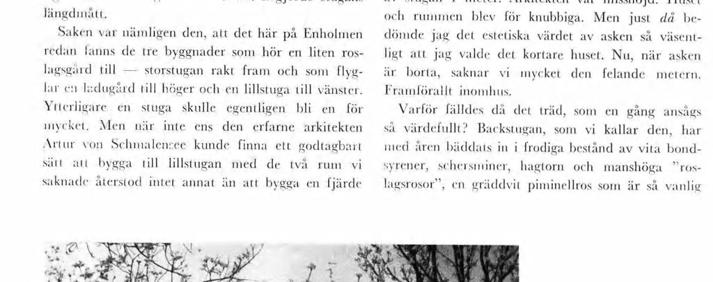 y* ' Askstubbens årsrngar Skldrar bygdens odlngshstora AV SVEN A. HERMELIN Fraför g lgger skvan av en asksta. Den är nte ponerande, bara 31 c daeter.