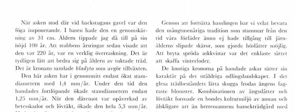 När asken stod där vd backstugans gavel var den föga ponerande. I basen hade den en genoskär nng av 31 c. Åldern tppade jag då tll på sn höjd 100 år.