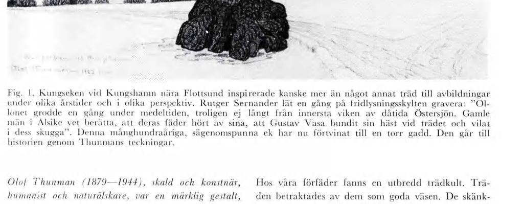 Rutger Sernander lät en gång på frdlysnngsskylten gravera: Ol lonet grodde en gång under edeltden, trolgen ej långt från nnersta vken av dåtda Östersjön.