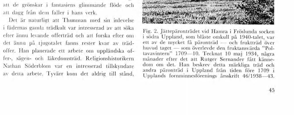 f undran såg jag dna grova grenar fördela sg skönhet städs tll särre, so sdgt löpte ut nya vägskäl för att tll sst haron förtona hän ett luftgt nät av lätta kvstar, so buro jukt en värld av blad och