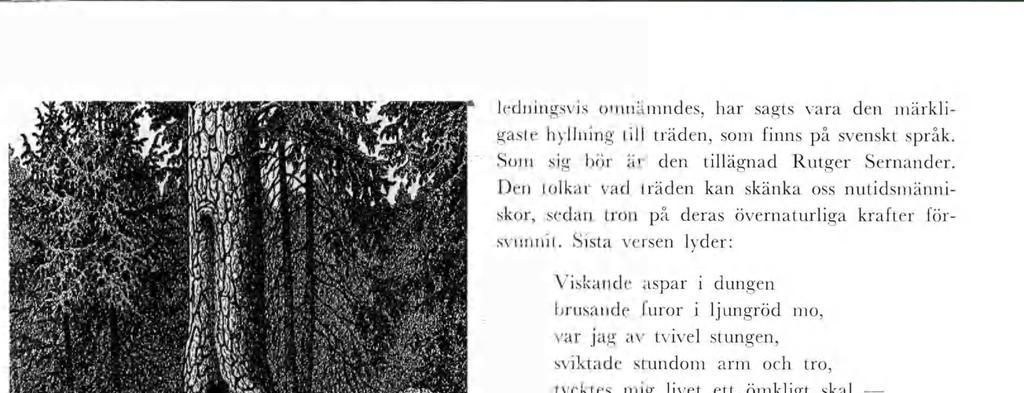 k «t l 11 t 11 I * gp w&ëêp JHH \h ' 4 Fg. 4 a, b. Vålbundna tallar. Geno staen har ånga sjuka barn dragts och fått nytt lv ( t.v. från Öndeo Terp). T.h. den vresga, gala "krånktallen (trolltallen) vd Upplanda Tegelsora.