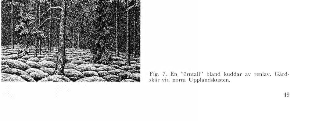 (Tryckt Olands sånger 1927.), s. A ' :.».vït-lïsès'î,. ;, ÉÊM s M y t> &] P* 4: *- gfc % 4 v. :. w WÆ W,lw- Ö Ægsfg ' -1 C w s s «S ÿ a É P3 S-U & «s S t.