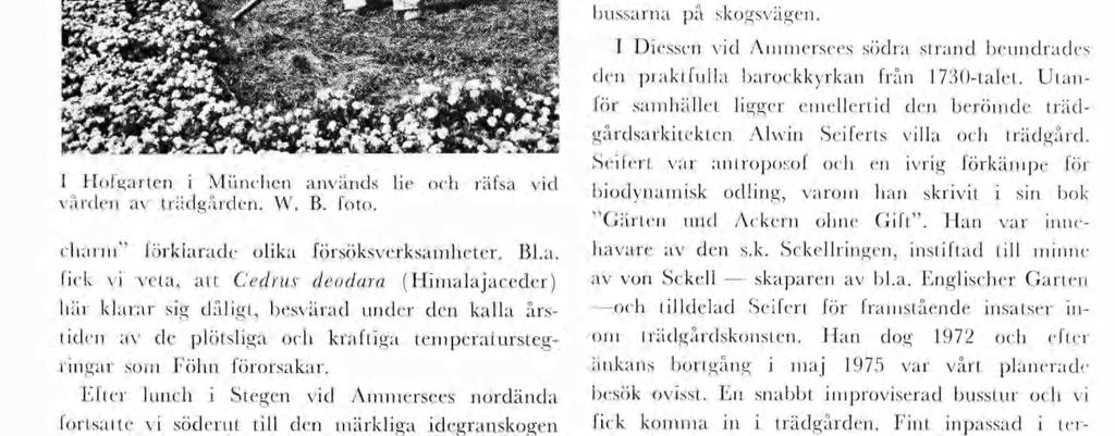 Här växer på upp tll 750 höjd närare tusen gala degranar ett urskogsoråde, so trots hotande åskuller och regntunga skyar djärvt erövrades under lednng av vår geytlge gude dr Fredrch Duhe, lärare