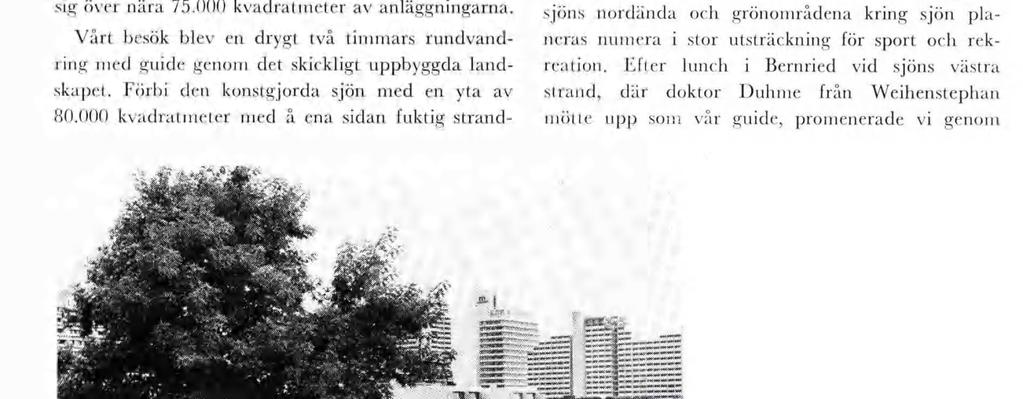 Den plats so ut valdes ett kalt platt oråde där staden efter krget vräkt avfall och runrester ofattar tre kvadrat kloeter och lgger fyra kloeter från stadens cen tru.