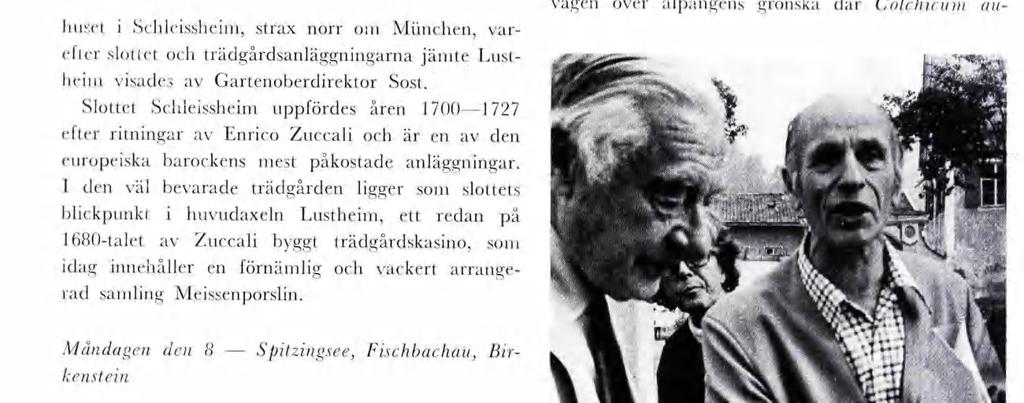 Messenporsln. Måndagen den 8 kensten " solen var andra glädjeänen. Den dekoratva blo an läggs gärna av befolknngen so prydnad föns tren, en är nuera helt frdlyst.