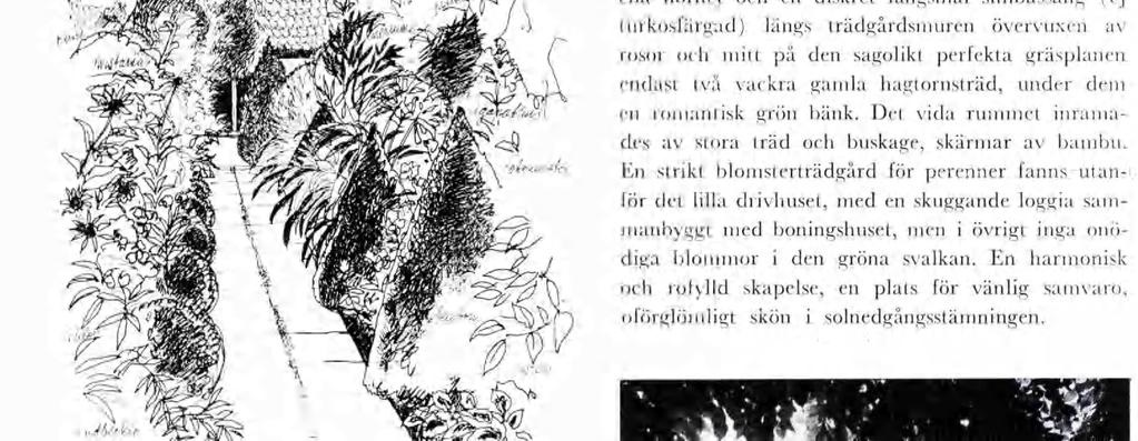 Kan bl 10. Hängande vta bloställnngar. I sydvästra München, Oberenzng, anlade på 50-talet trädgårdsarktekt Alfred Rech sn prvata trädgård, osluten av ett skyddande parkoråde.