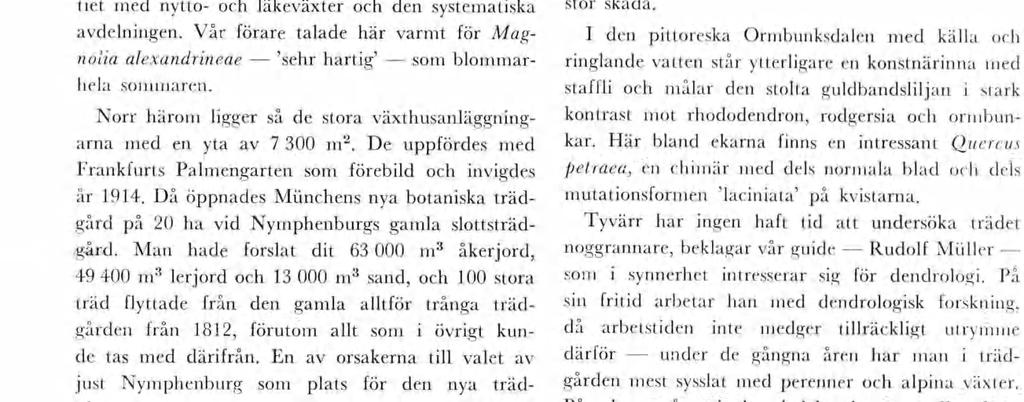 Fnland är stadgvarande leverantör av plantateral tll den sstnända, då ängder av växter grävs upp av besökare. I vårträdgården noterade jag ett flertal rolga gledtsa G.ferox, G.