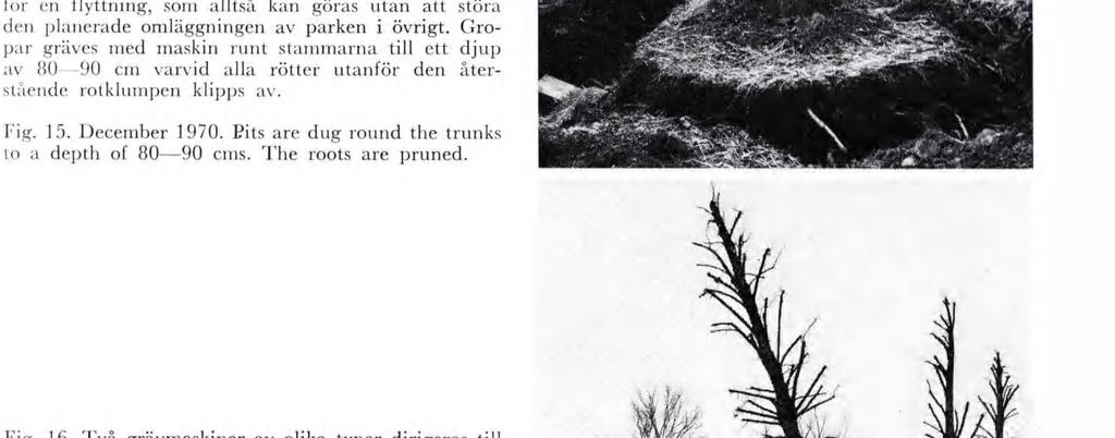 Ü r» Fg. 15. I deceber 1970 anses tdpunkten läplg lör en flyttnng, so alltså kan göras utan att störa den planerade oläggnngen av parken övrgt.