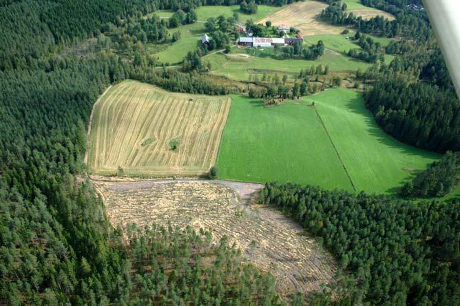 I samband med handrensningen skulle också avsökning med metalldetektor ske. Figur 3. Kåperydsgravfältet, beläget på den öppna ytan i mitten, fotograferat från Tabergs topp. Foto: Jörgen Gustafsson.