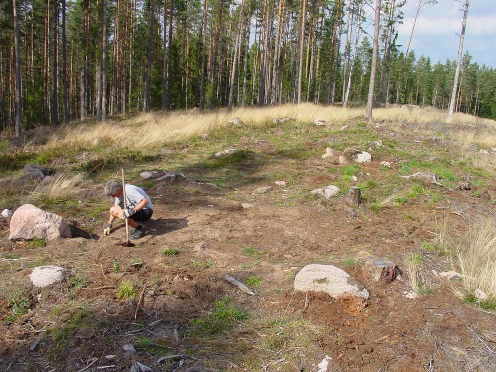 bilaga 3). De brända benen i grav A och B representerar minst två skilda begravningar. Både innan och efter handrensningen söktes skadorna över med metalldetektor, dock utan några resultat.