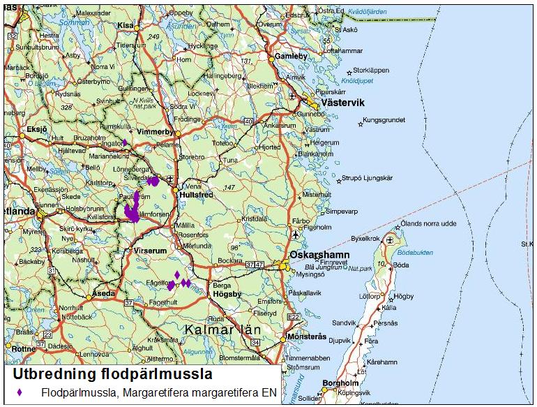 SAMMANSTÄLLNING AV STORMUSSELINVENTERINGAR I KALMAR LÄN 1986-2013 5 Sammanställning Kalmar län Flodpärlmussla Inventering av flodpärlmusslor började i Kalmar län 1986 som en del i uppföljningen av