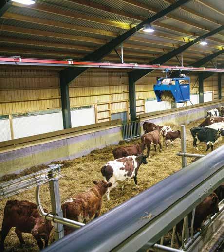 LED-lampor från DeLaval ger ett bra ljus att arbeta i och är mycket energisnåla. LED-lamporna gör att behagligt blått ljus strålar från stallet.