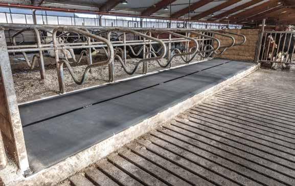 Madrassen DeLaval M45R är en mjuk madrass med högsta komfort för mjölkkor. Den är sömlös för bästa hygien, 45 mm tjock och har tre års garanti.