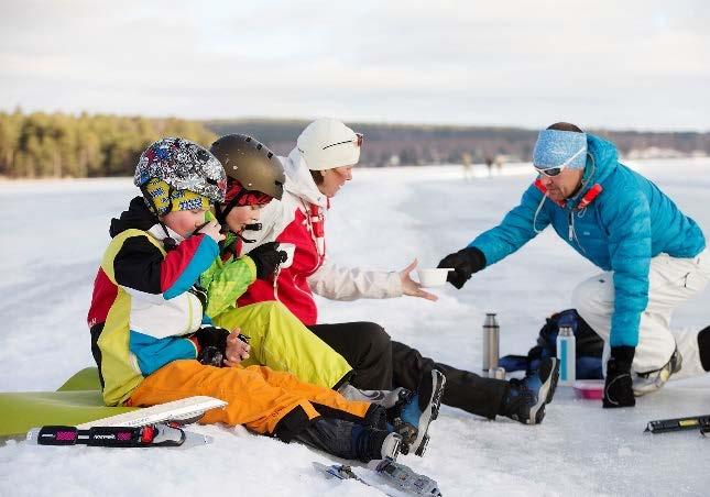 Region Dalarna fungerar som processägare för Destination Dalarna. Processen med att slå samman Dalarnas destinationsbolag till ett bolag har pågått under hela året.