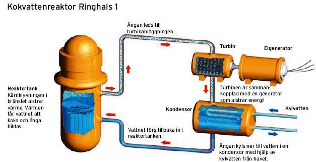 I kokvattenreaktorn tillåts vattnet koka inuti reaktortanken. Bildad ånga leds sedan direkt till turbinanläggningen där den på samma sätt som i fallet ovan utnyttjas för elproduktion.