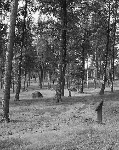 In Situ Att följa stigen en publikundersökning på Blomsholm 13 slag bör sannolikt kunna erbjuda intressanta möjligheter till ett empiriskt diskussions underlag, om än i detta fall i liten skala.