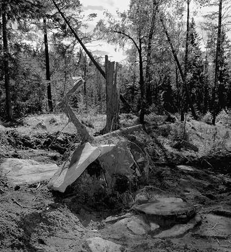 In Situ Döden i Anderstorp socken 87 till ett annat. I den antika föreställningen gjordes denna resa över floden Styx med färjekarlen Charon.