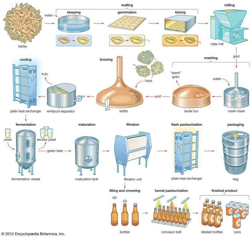 Figur 2 Bild över bryggningens olika processer (Encyclopedia Britannica ImageQuest, 2017) 3.2 Avloppsvatten Avloppsvatten definieras enligt 9 kap.