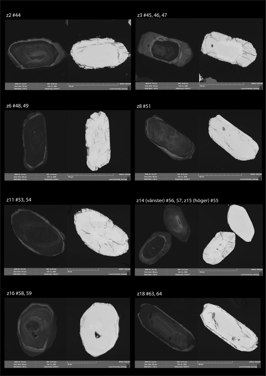 Leucosom B: A Fig. 23A.