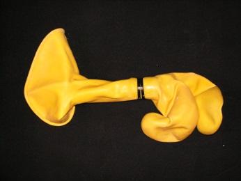 dräktighet 7 v