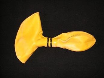 dräktighet 9 v