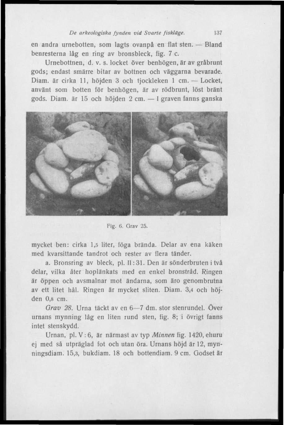 De arkeologiska fynden vid Svarte fiskläge. 137 en andra urnebotten, som lagts ovanpå en flat sten. Bland benresterna låg en ring av bronsbleck, fig. 7 c. Urnebottnen, d. v. s. locket över benhögen, är av gråbrunt gods; endast smärre bitar av bottnen och väggarna bevarade.