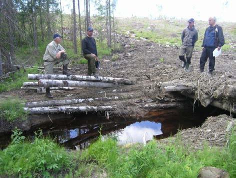 Drivningen orsakade djupa körspår i sluttningen i vilka vatten och sediment runnit ner mot vattendraget.