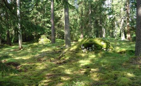 I samband med uppodling och stenrensning under senare delen av 1800-talet och en bit in på 1900-talet uppkom många stenmurar.