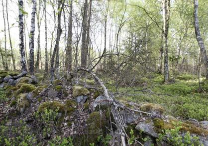 procent Bullernivå Ingen Punkt 29 Det artrika