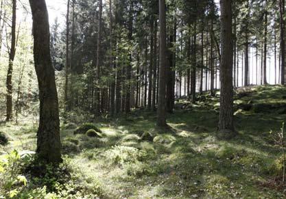 Rymd Punkt 8 Rymd 95 procent Bullernivå Ingen