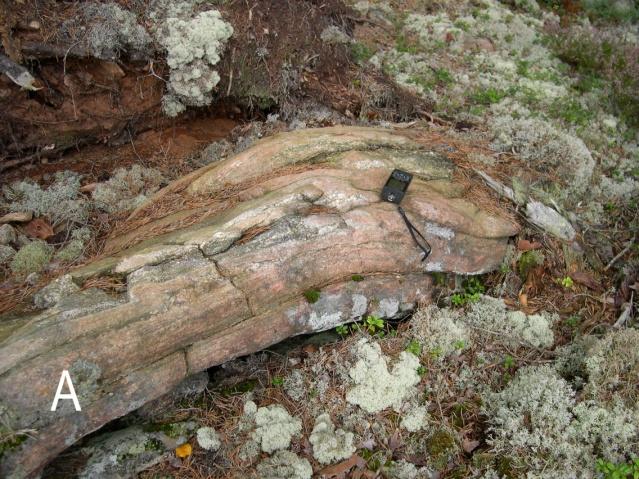 14(28) Pegmatit bildar ådror i ovan nämnda bergarter (fig. 11b). Ådrorna är helt konforma med gnejsigheten. De är hornblände- och lokalt granatförande.