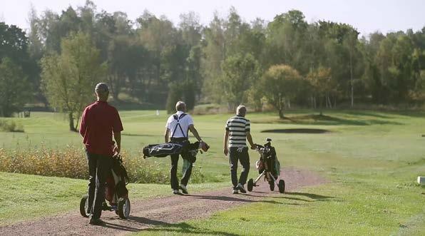 INNEHÅLLSFÖRTECKNING Inledning 2 1. Idrotta utifrån egna förutsättningar 3 2. Särskilda utvecklingsområden 4 2.1 Barn- och ungdomsidrott 4 2.2 Skolan i rörelse 5 2.3 Senioridrott och -motion 6 2.