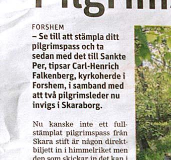Två korta meningar är ofta bättre än en lång. Den vanligaste ingressen sammanfattar det viktigaste.