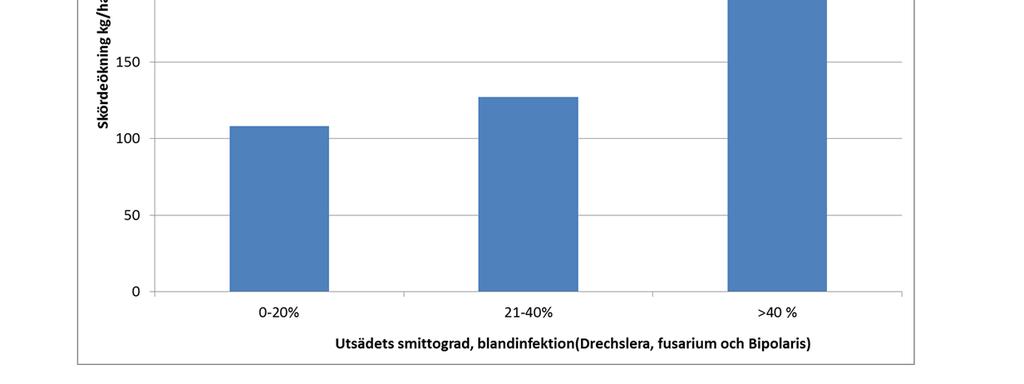 Smittograden för när det är lönt att beta skiljer mellan olika enskilda skadegörare och när de förekommer tillsammans i ett utsädesparti.