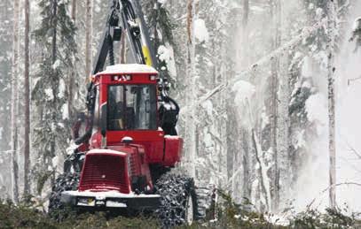 Konjunkturen inom skogsindustrin är stark. Kapacitetsutnyttjandet är högt och försäljningspriserna på skogsindustrins produkter är på historiskt höga nivåer. Foto: Björn Palovaara.