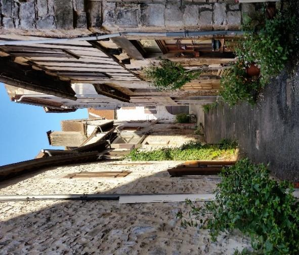 Via Podiensis, Le Puy-en-Velay St-Jean-Pied-de-Port, 36 nätter 6(16) vandringen att bjuda på doft av olika örter, smultron och fält av orkidéer.